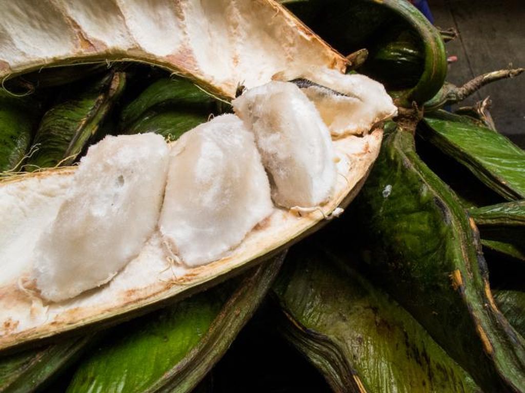 Uniknya Buah Salju, Buah Istimewa yang Harus Dicoba Saat ke Kintamani
